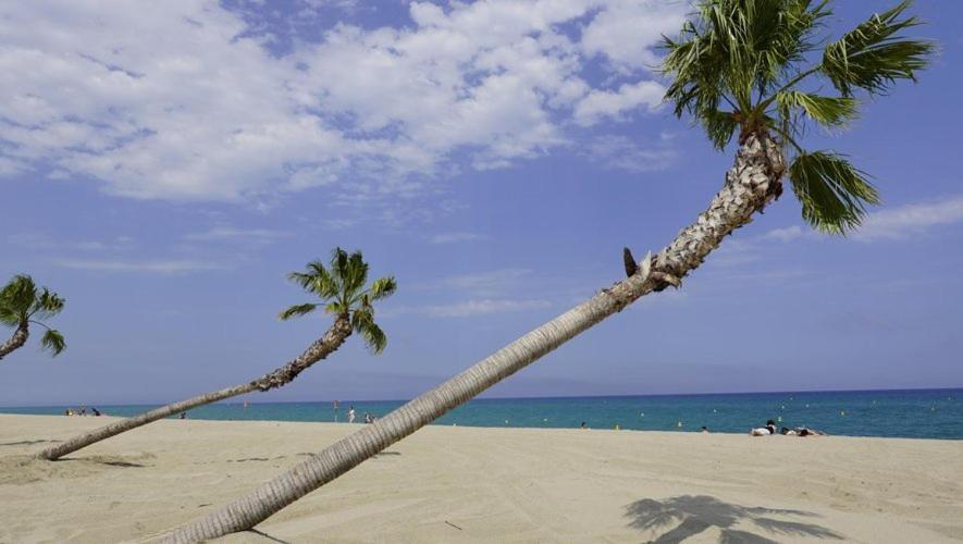 Villa Maison Plein Pied Proximite Plage Et Commerce - 5Sir33 Le Barcarès Exterior foto